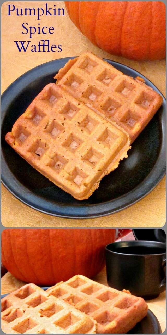 October brings Pumpkin Spice Waffles, with the flavors of pumpkin, cornbread and of course pumpkin spice joining together for a perfect taste of Fall. 