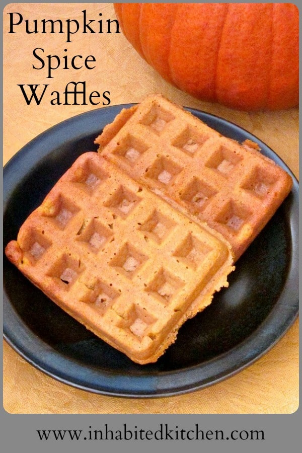 October brings Pumpkin Spice Waffles, with the flavors of pumpkin, cornbread and of course pumpkin spice joining together for a perfect taste of Fall.
