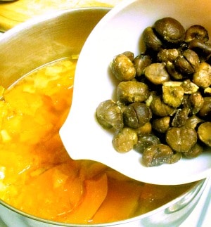Rich and sweet, Chestnut Soup made with butternut squash is gluten free and vegan (with optional dairy garnish.) Luxurious first course for an elegant meal! 