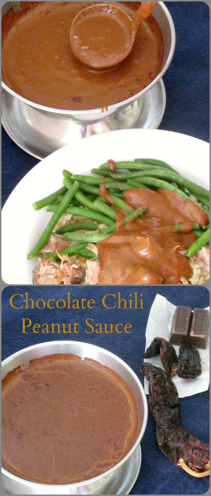 Need a sauce to add flavor to plain food, or bring several different elements together? Does a Chocolate Chili sauce sound interesting? Gluten free, vegan. 