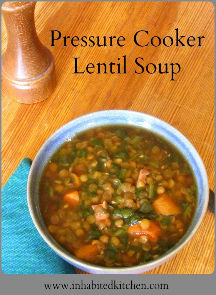 Lentil Soup in a pressure cooker - fast, easy, and delicious, Great for warm days and chilly nights - don't heat up the kitchen! 