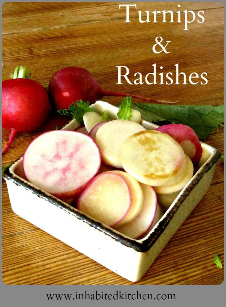 Who knew that cooked radishes taste good? Saute them together with delicate young turnips for a fast and easy, and delicious, vegetable side! 
