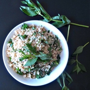 Do you miss tabbouli, if you need to avoid wheat? Gluten free Quinoa Tabbouli works remarkably well, and makes a terrific addition to any salad lunch!