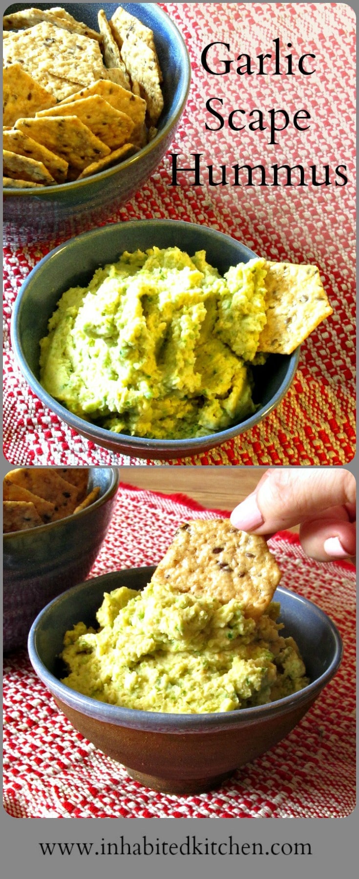 A surprisingly gentle green garlic flavor makes Garlic Scape Hummus a delightful spread for lunch or a party! Enjoy it during the short season for scapes!