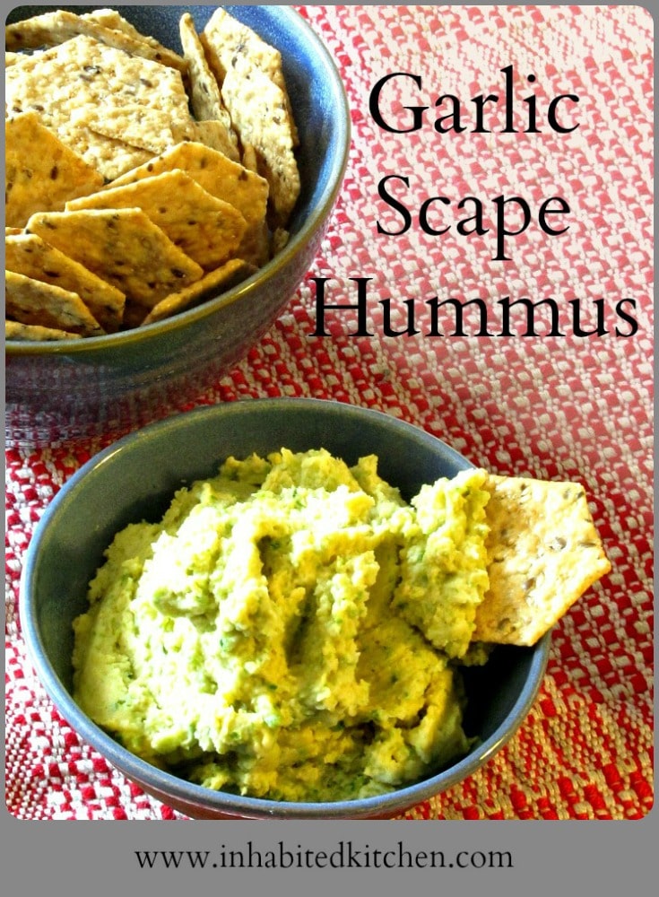 A surprisingly gentle green garlic flavor makes Garlic Scape Hummus a delightful spread for lunch or a party! Enjoy it during the short season for scapes!