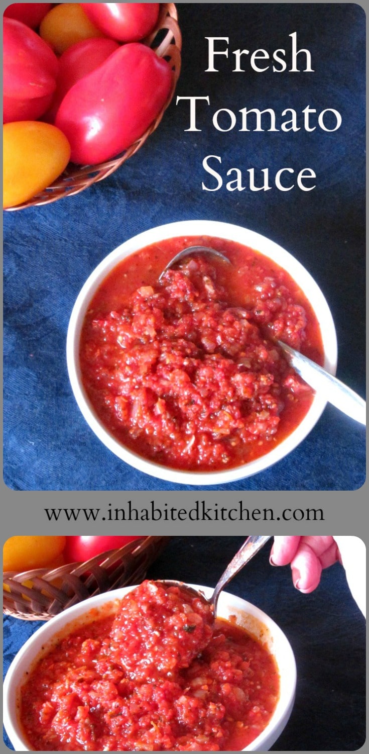 When you have tomatoes but no time, try the Lazy Cook's Fresh Tomato Sauce! It's simple, easy, fast, but keeps the wonderful fresh flavor of your tomatoes.