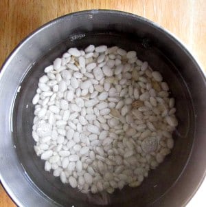 Bowl of beans and water, set to soak.