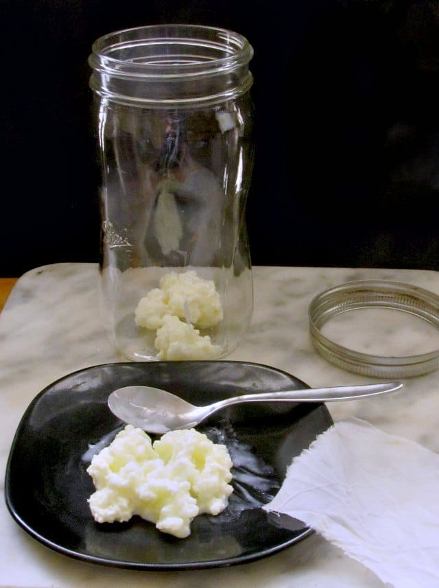 Kefir grains, and a jar to make milk kefir in. 